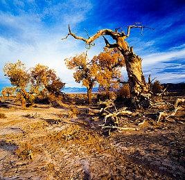 两款开罗游戏Steam页面上线 《南国度假岛物语》等